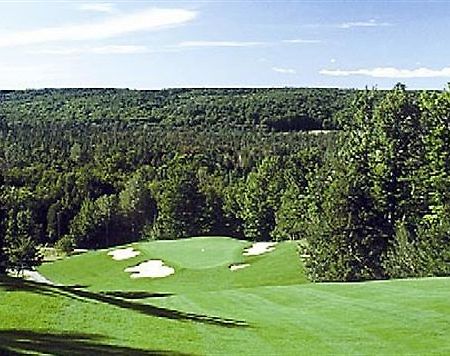 Treetops Resort Gaylord Exterior foto