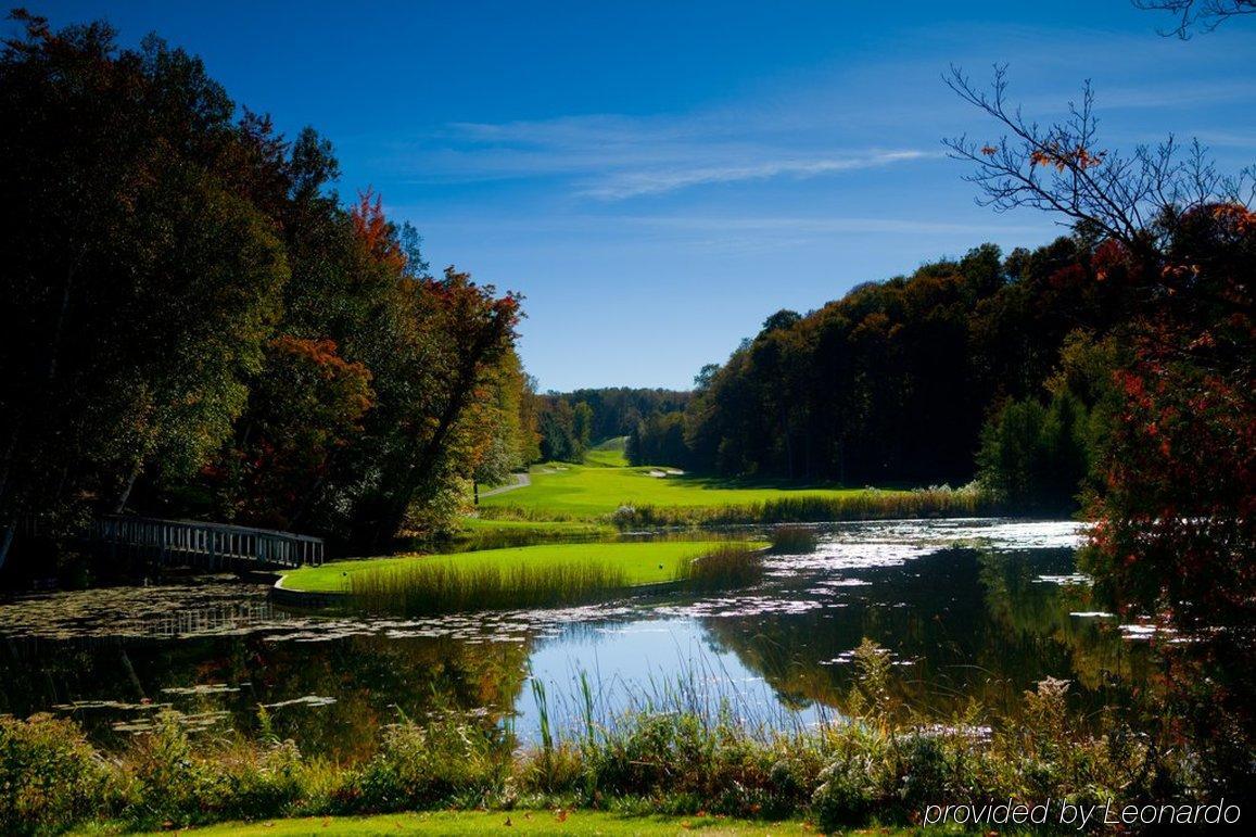 Treetops Resort Gaylord Exterior foto