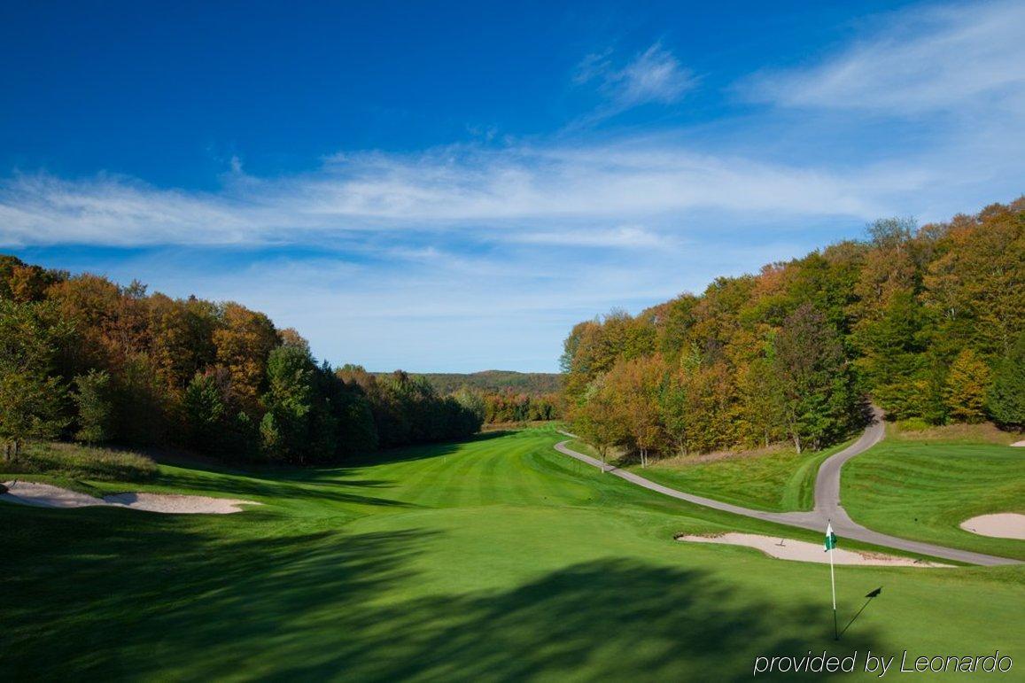 Treetops Resort Gaylord Exterior foto