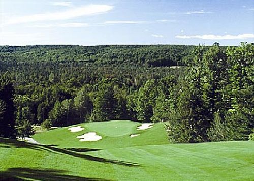 Treetops Resort Gaylord Exterior foto